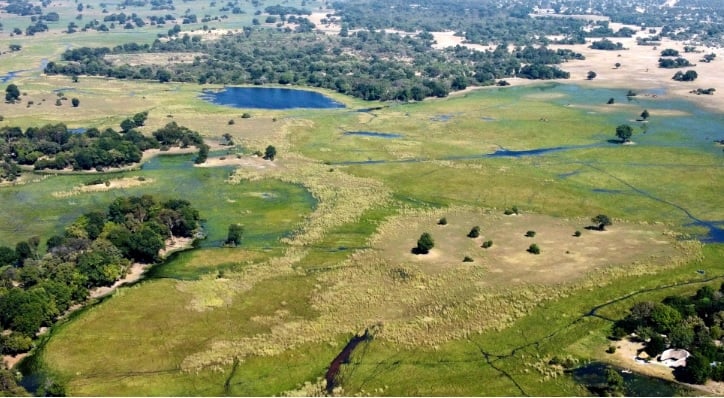 6 Day Okavango Delta Horseback Safari in Botswana